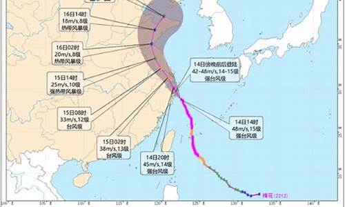 浙江省水利厅台风路径实时讯网_浙江水利厅