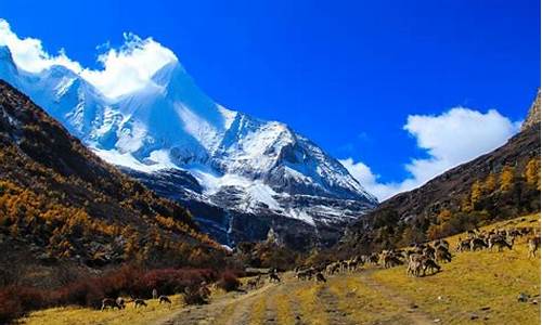 稻城亚丁一周天气_稻城亚丁景区天气预报4