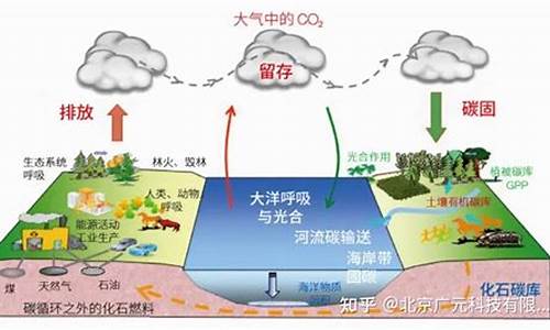 全球碳循环及其对气候的影响_全球碳循环过