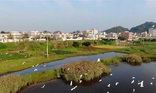 汕尾海丰天气_汕尾海丰天气预报天气情况